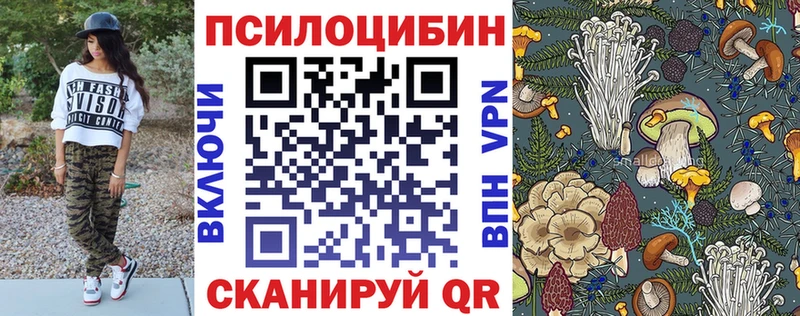 OMG вход  Льгов  Псилоцибиновые грибы мицелий  как найти закладки 
